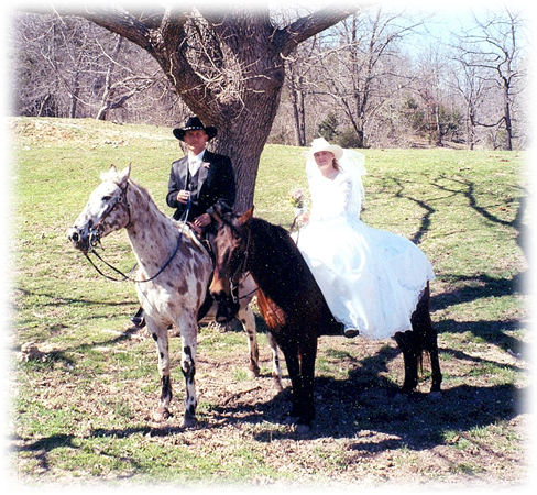 Ribbons And Red Tape Divorce And The Family Horse Farm Who - 