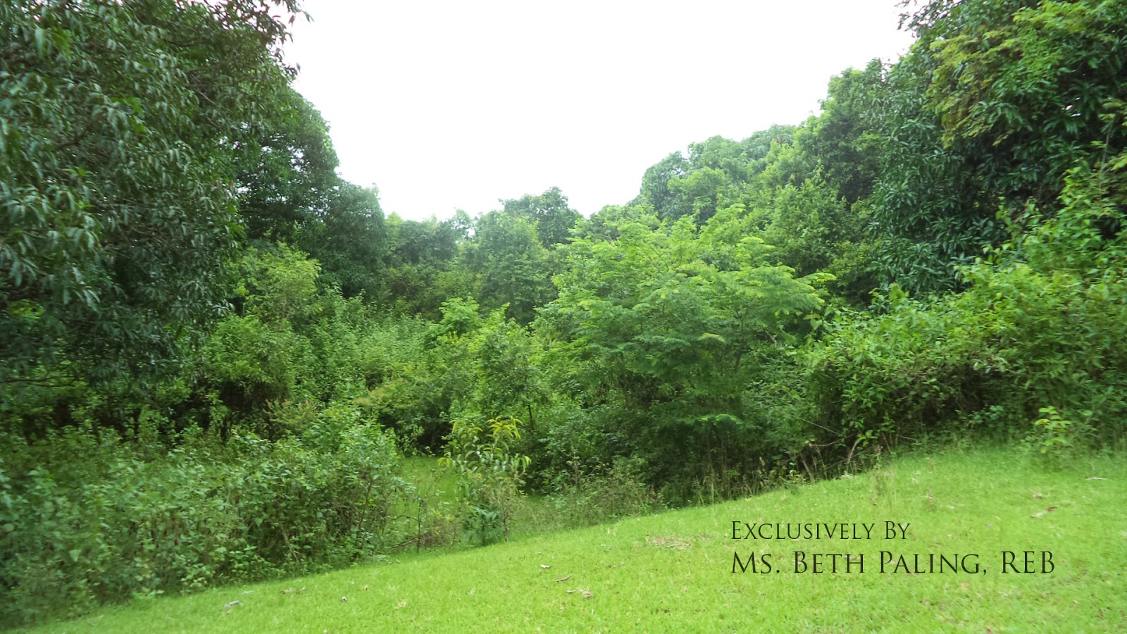 Pangasinan Properties Land for sale in Capulaan, Villasis, Pangasinan