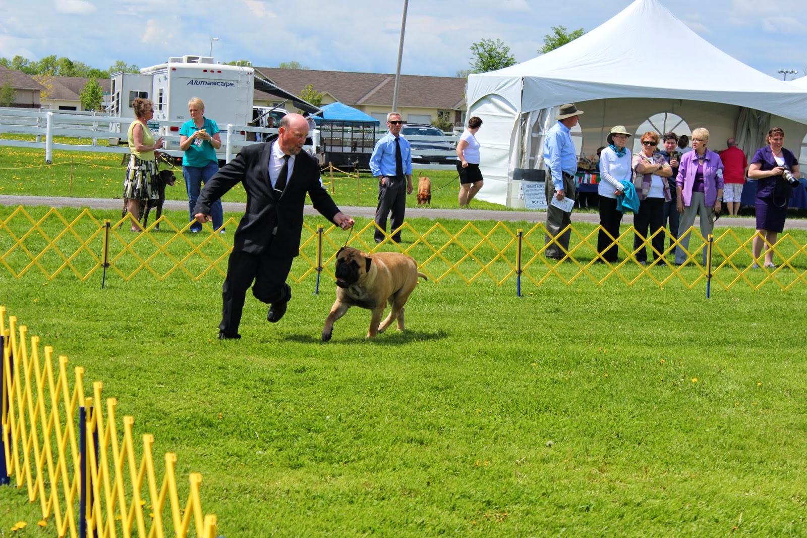Know Thy Dog More pictures from the Ottawa Kennel Club Spring show!