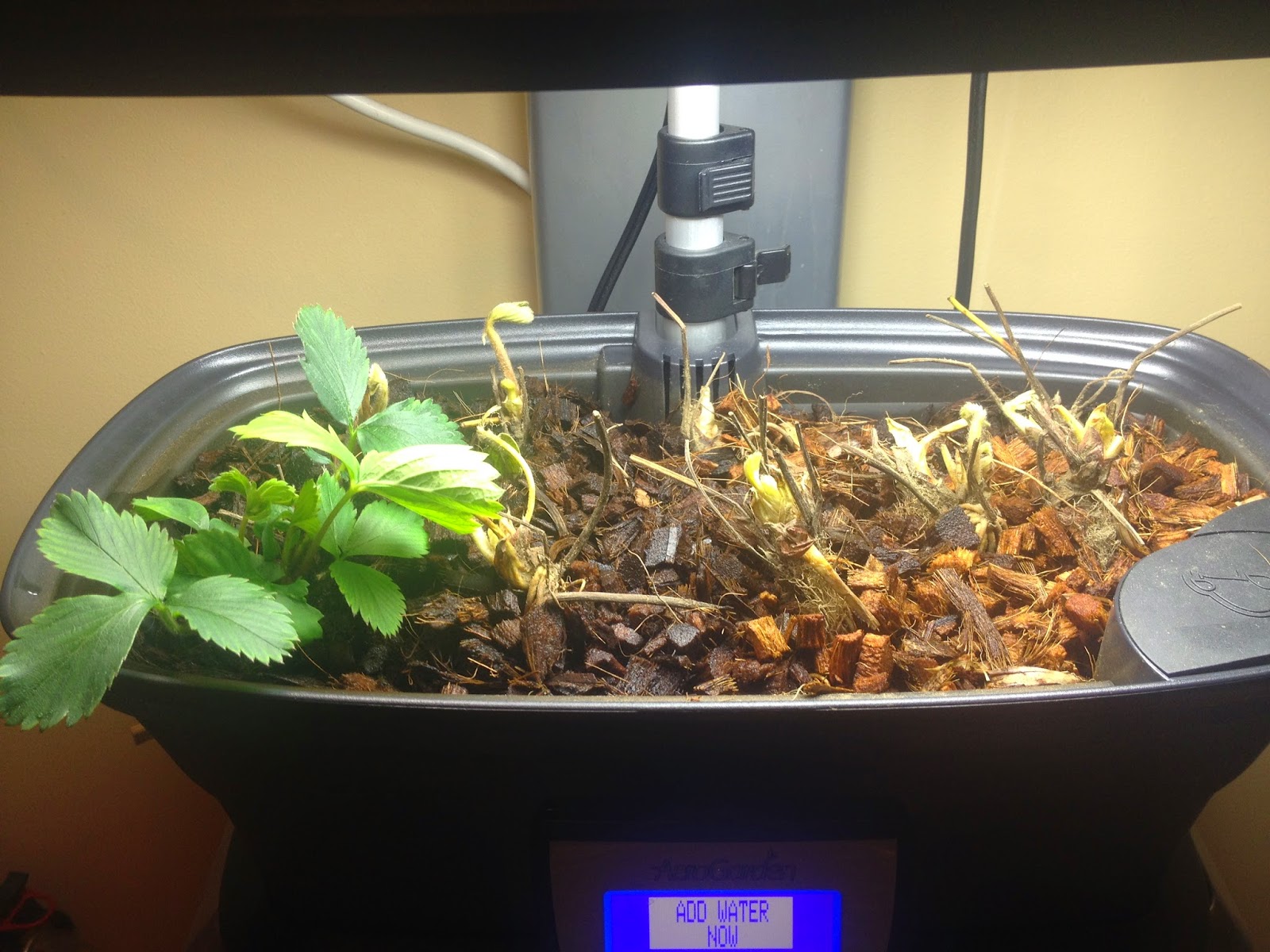 Can I Make My Own Aerogarden Pods / AeroGarden Set of 2 6-Pod Herbs