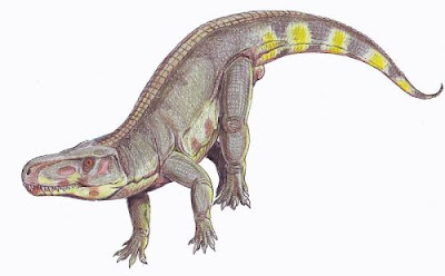 reptiles prehistoricos en europa Batrachotomus