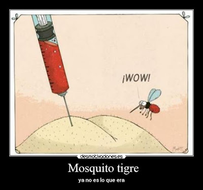 mosquito tigre, jeringa, wow