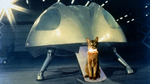 El gato que vino del espacio 1978 pelicula subtitulada
