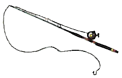 how do you use a fishing rod in pokemon planet how do you use a fishing rod in pokemon planet