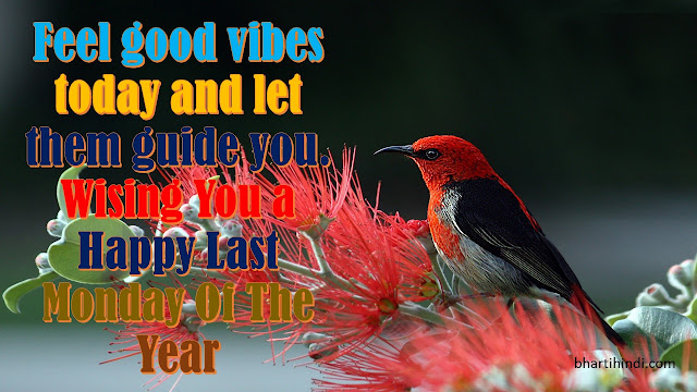 Happy Last Monday Of The Year 2018 Happy Last Monday Of The Year photos