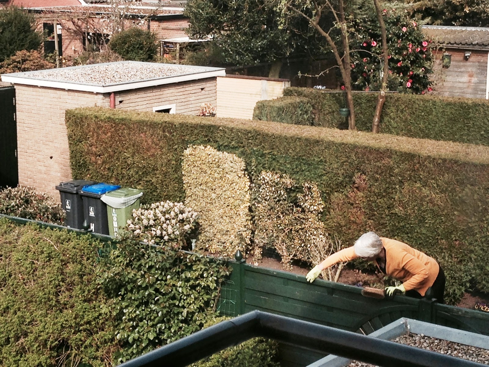 Karin schrijft Ka hoort het over de schutting