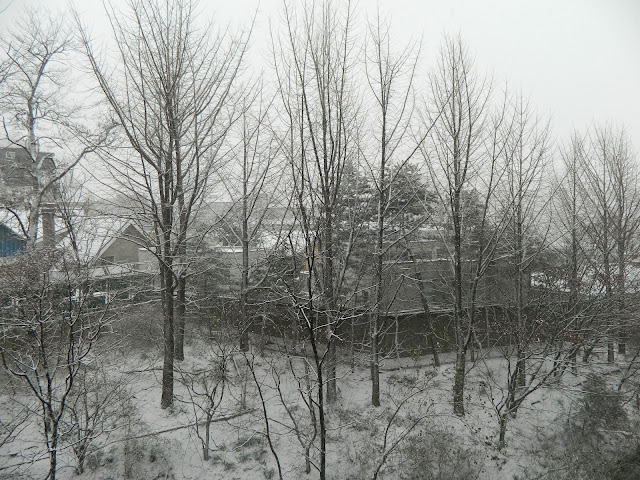 Snow fall in winter in Seoul