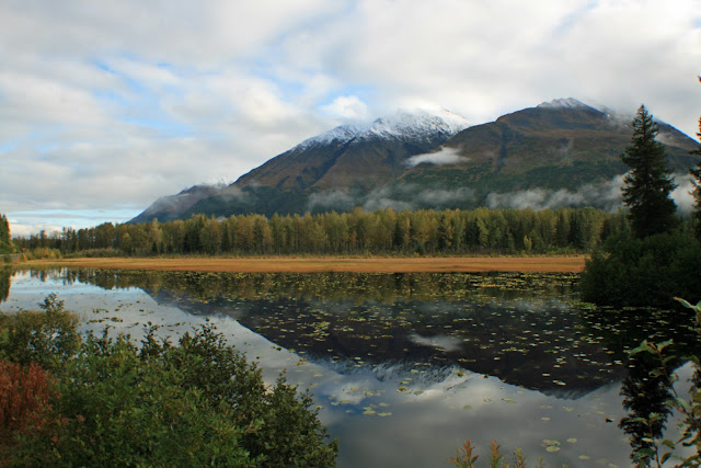LA PENINSULA DE KENAI - LA ULTIMA FRONTERA. CRONICAS DE ALASKA (1)