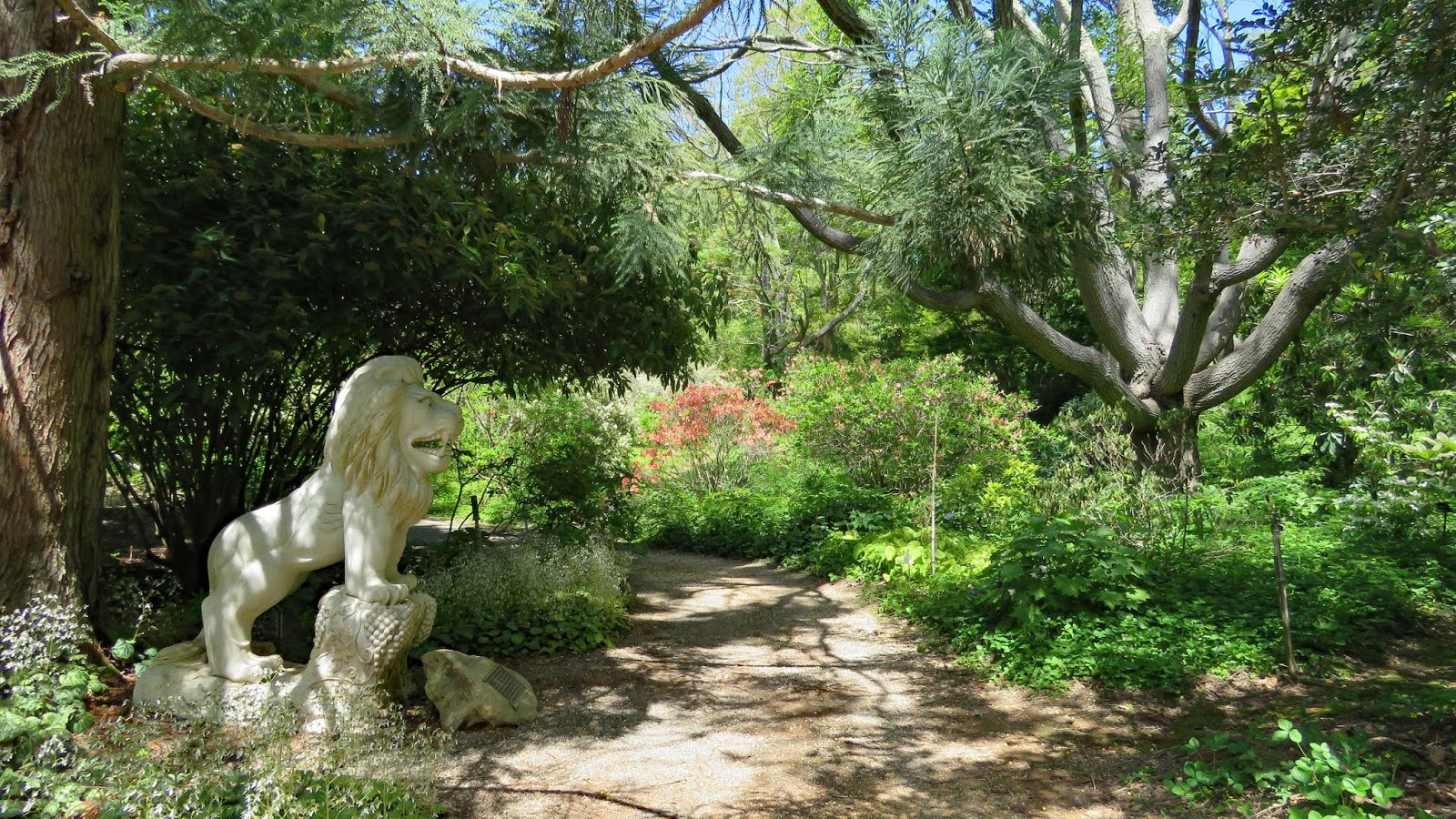 Rolling In An Rv Wheelchair Traveling Quarryhill