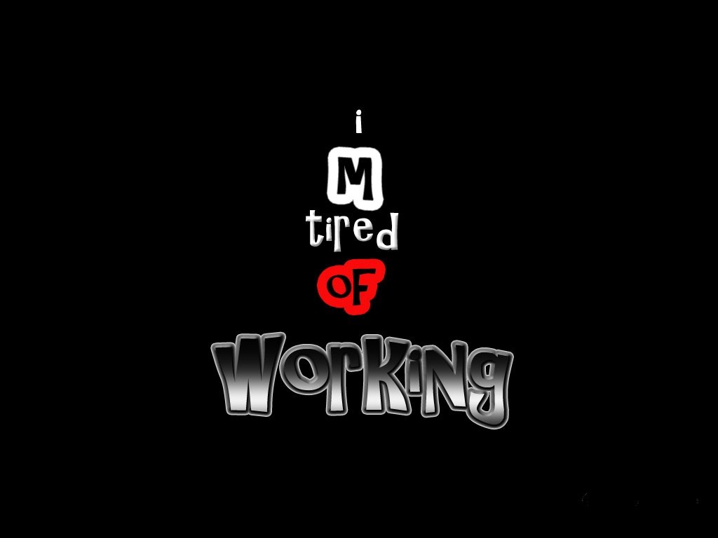 Funny wallpaper wallpapers computer display hd desktop background backgrounds fun interesting Funny Wallpapers HD