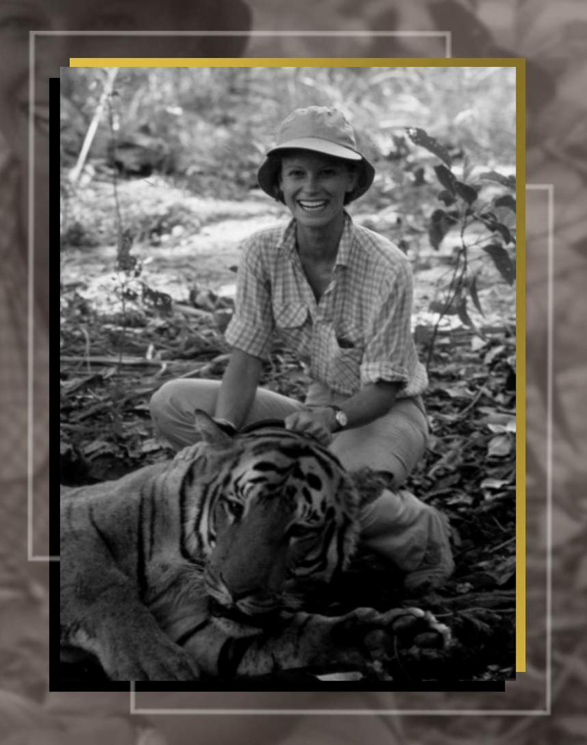 ShelleyHack The American Sportsman