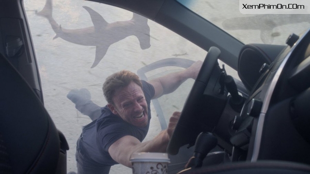 Bão Cá Mập 3 - Sharknado 3 Oh Hell.No