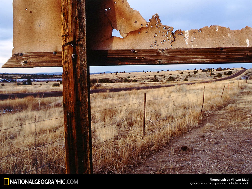 документальное national geographic. ведущий national geographic. джейн гудолл. документальное national geographic. документальное national geographic.