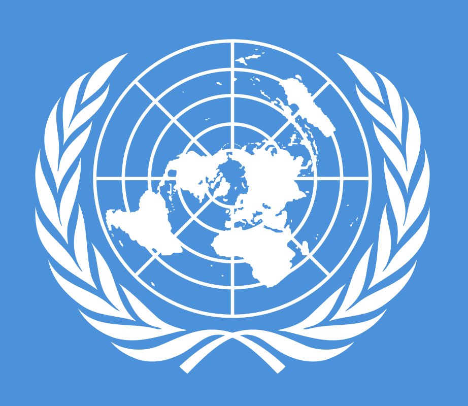Пакт ООН. Международный пакт о гражданских и политических правах. Флаг Кыргызстана ООН. Воп ООН.