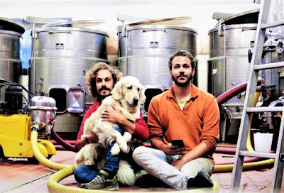 cantina grifalco vulture