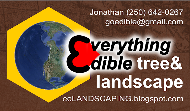 Everything Edible Landscaping