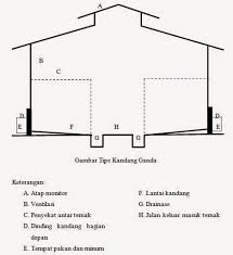 KANDANG SAPI PERAH DAN PERLENGKAPANYA ~ ternak