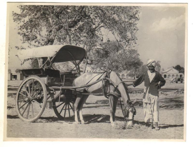 A Tonga Wallah with his Carriage - Ambala Haryana 1945 - Old Indian Photos