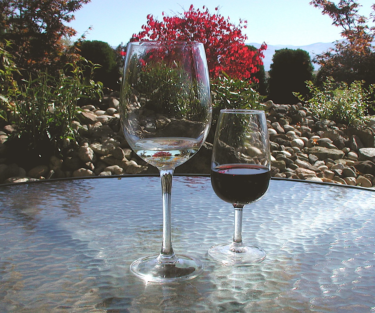 Closet Canuck British Columbia wine and cuisine featured at tastings