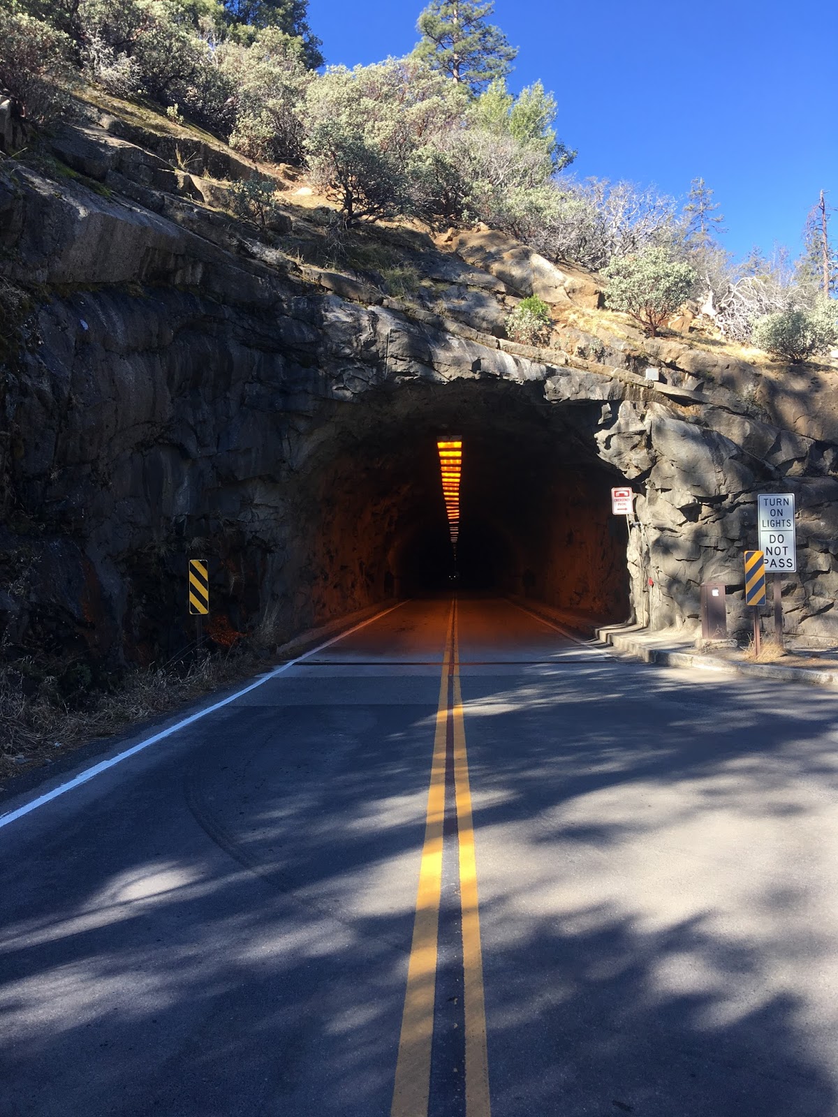 History of the Wawona Road and Mariposa Grove (Yosemite National Park)