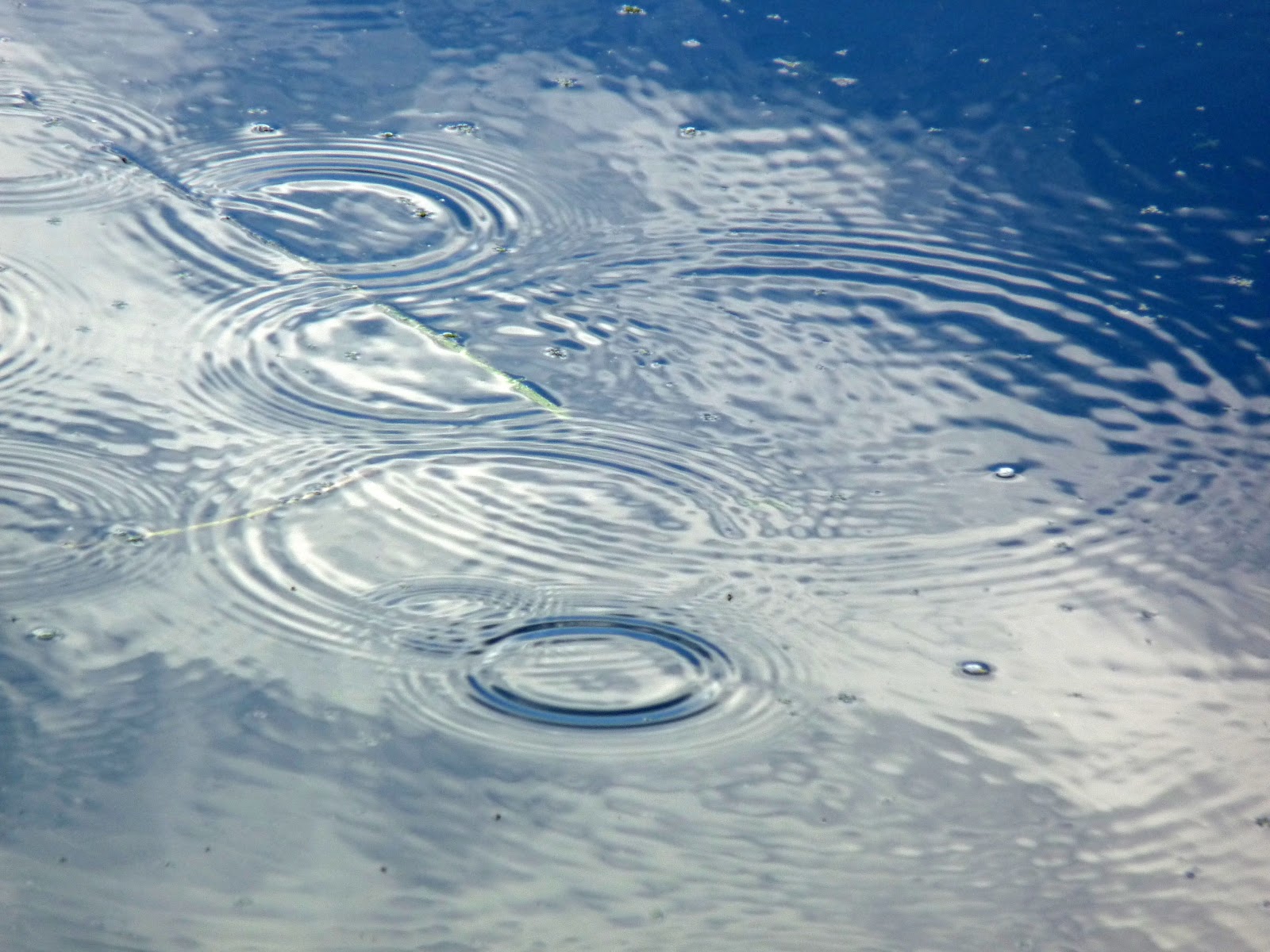 wild-and-wonderful-october-2012