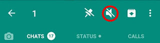 Whatsapp Mute notification