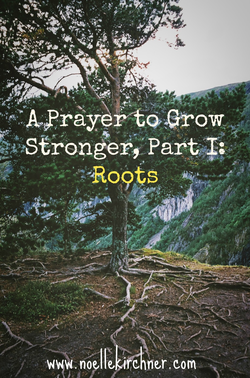 A Prayer to Grow Stronger, Part I Roots