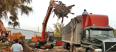 http://www.garbagebinrentals.ca/services/demolition-services.html