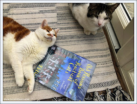 Amber and Melvyn's Story Time ©BionicBasil® Feline Fiction of Fridays #96