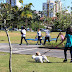 Quer passear com seu cão? Parque Ramiro e Vila Germânica recebem cães neste fim de semana em Blumenau