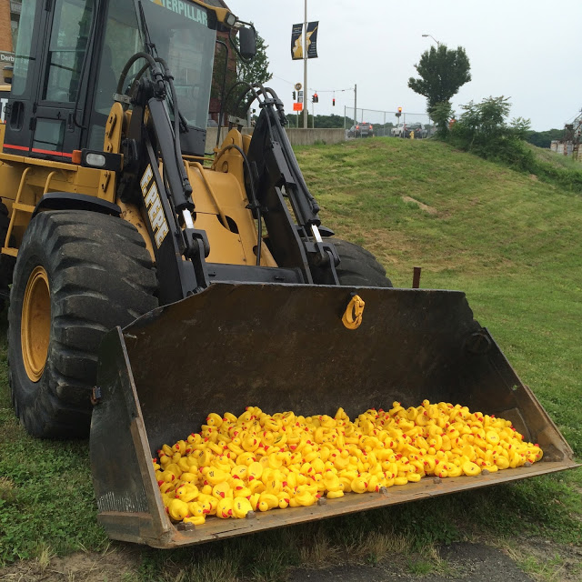 View from the Valley Hey Valley Get Your Ducks in a Row!