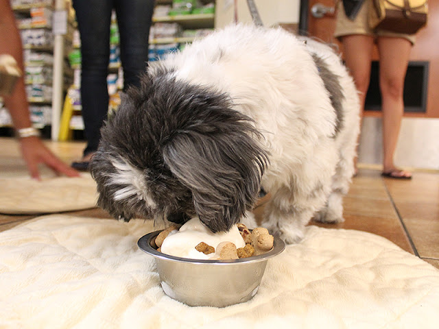 Receita caseira de biscoito para shih tzu