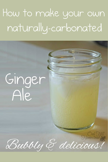 A small glass of ginger ale and text: How to make your own naturally-carbonated ginger ale.