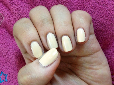 holika notd