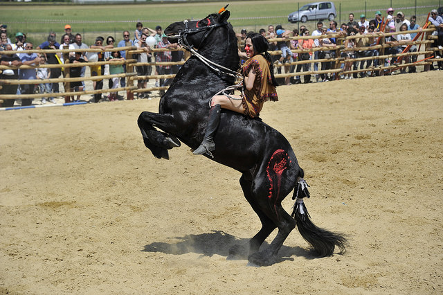game fair game fair