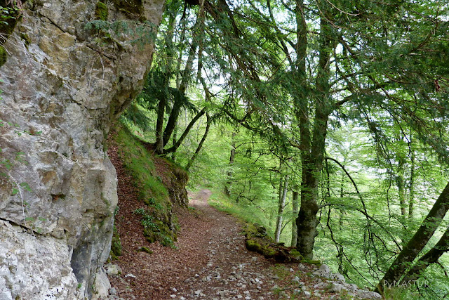 Sendero saliendo de la Foz Sendero saliendo de la Foz