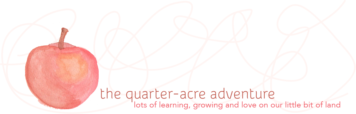 The Quarter-Acre Adventure