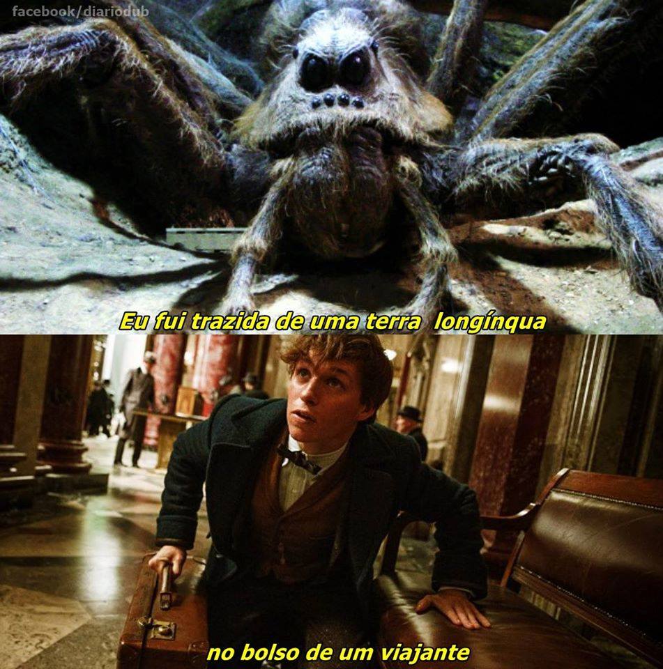 Sobre Newt, Aragogue e Hagrid colocando um fim nesta teoria. House