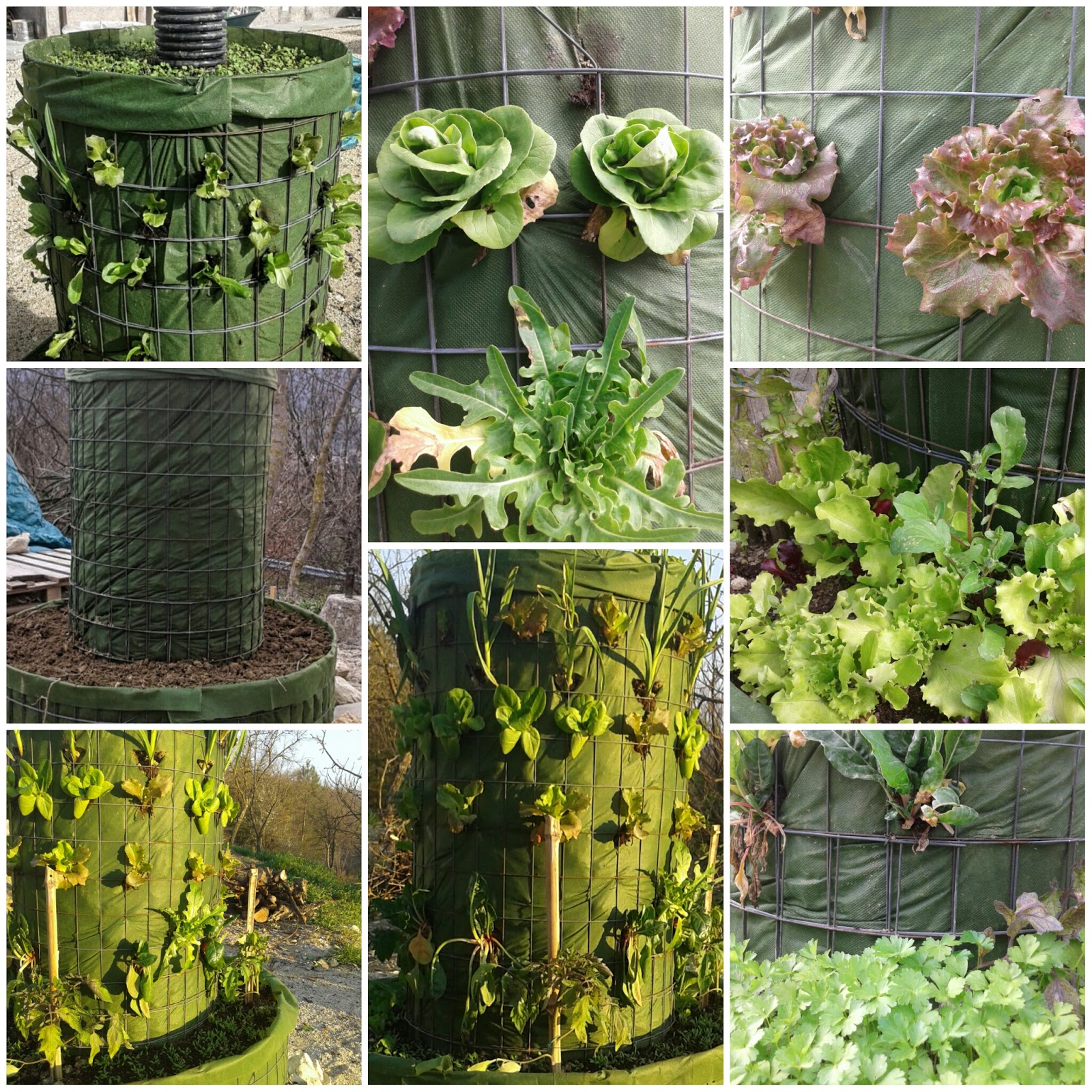 Il giardino di zerdesht: come realizzare un orto verticale Come realizzare un giardino verticale