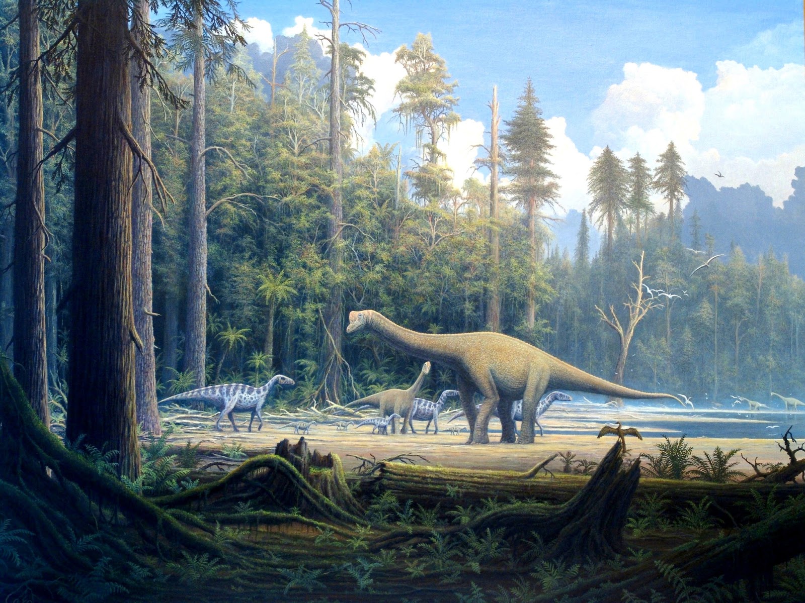 Europasaurus fossil found in Germany - The Archaeology News Network