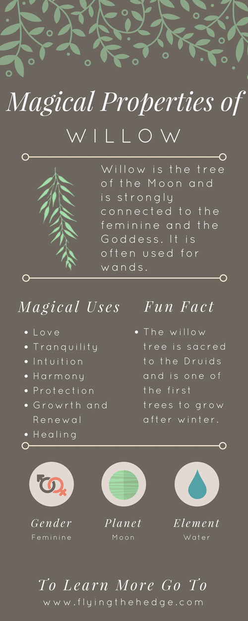 Magical Properties of Willow