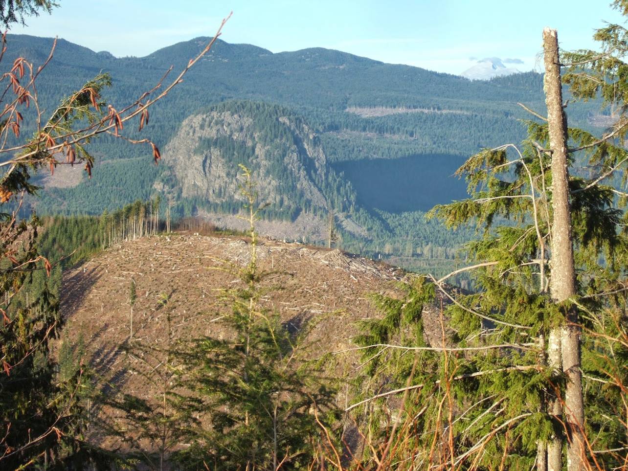 Reading The Washington Landscape August 2016 Reading The Washington Landscape August 2016