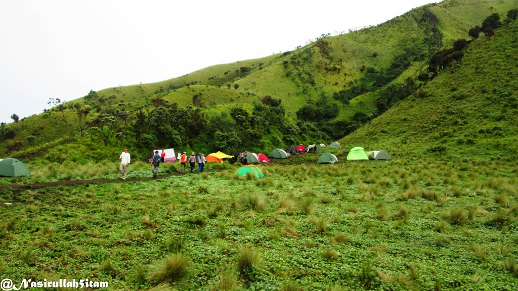 Lokasi strategis untuk mendirikan tenda di Sabana 2