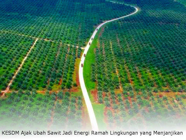 KESDM Ajak Ubah Sawit Jadi Energi Ramah Lingkungan yang Menjanjikan KESDM Ajak Ubah Sawit Jadi Energi Ramah Lingkungan yang Menjanjikan