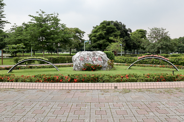 台中北屯|廍子公園|黃花風鈴木|滑板場|巨人腳印公園|綠籬迷宮|生態池|拱橋 台中北屯|廍子公園|黃花風鈴木|滑板場|巨人腳印公園|綠籬迷宮|生態池|拱橋
