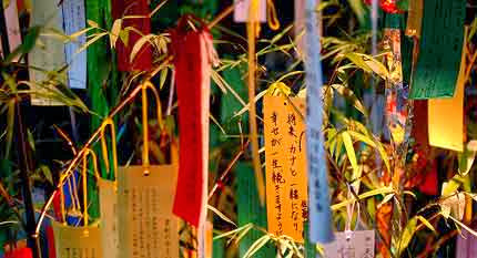 Pohon Harapan di Tanabata Jepang