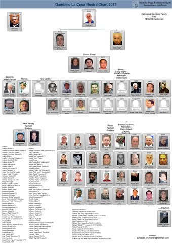 Philly Mob Chart 2015