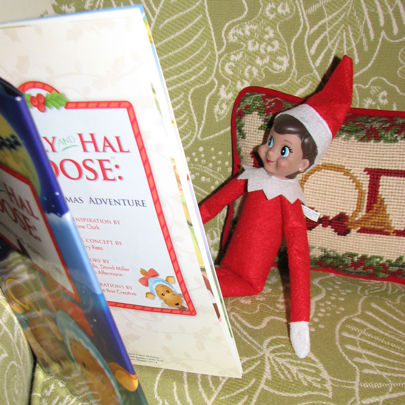 The Green House on the Hill: The Elf on the Shelf
