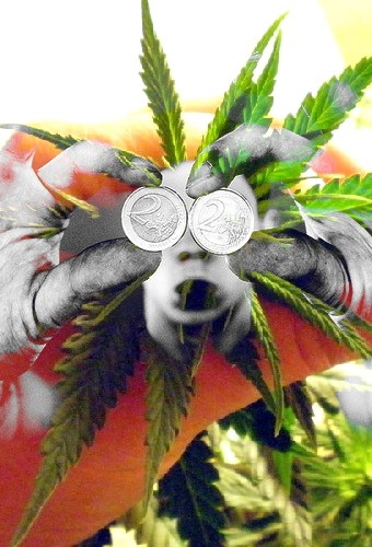 marihuana y dinero