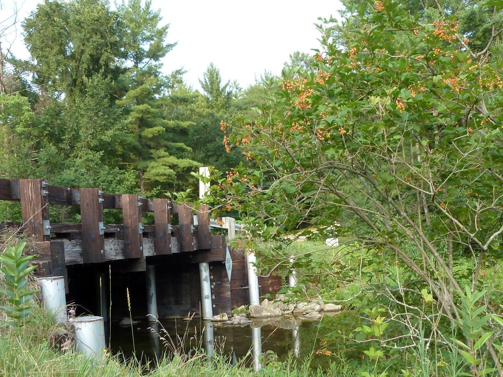 Kayaking Waupaca Area Waters Kayak Trip 2 Upper Chain O’ Lakes 4/12/12